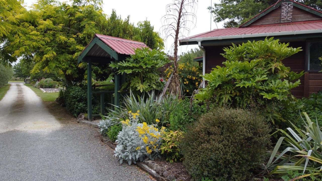 Olivista Bed & Breakfast Masterton Dış mekan fotoğraf
