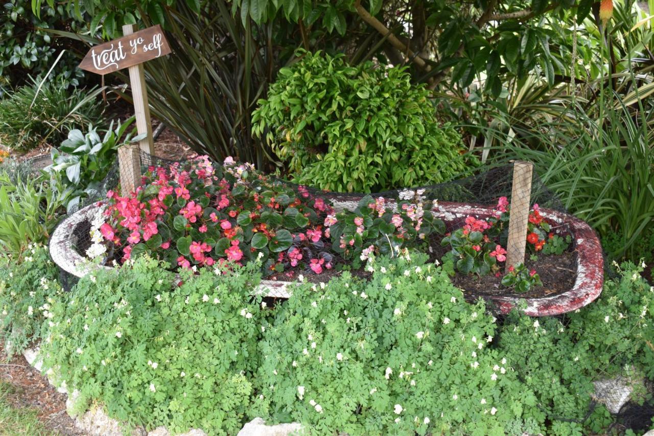 Olivista Bed & Breakfast Masterton Dış mekan fotoğraf