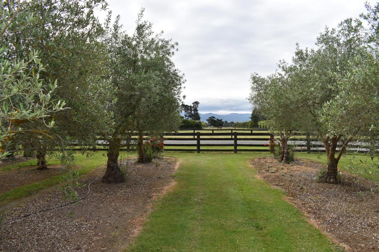Olivista Bed & Breakfast Masterton Dış mekan fotoğraf