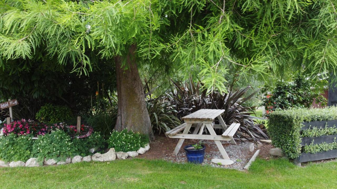 Olivista Bed & Breakfast Masterton Dış mekan fotoğraf
