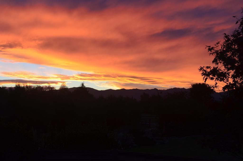 Olivista Bed & Breakfast Masterton Dış mekan fotoğraf
